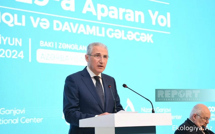 COP29-un prezidenti: Bütün fikirləri eşitməli və ümumi həll yolları tapmalıyıq