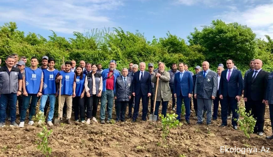 Səfir: “Dəmirağacı parkı”ndan danışmaq mənə böyük şərəf hissi verir"   - FOTO