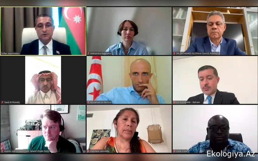 COP29 çərçivəsində parlamentlərarası dialoq mövzusunda onlayn iclas keçirilib