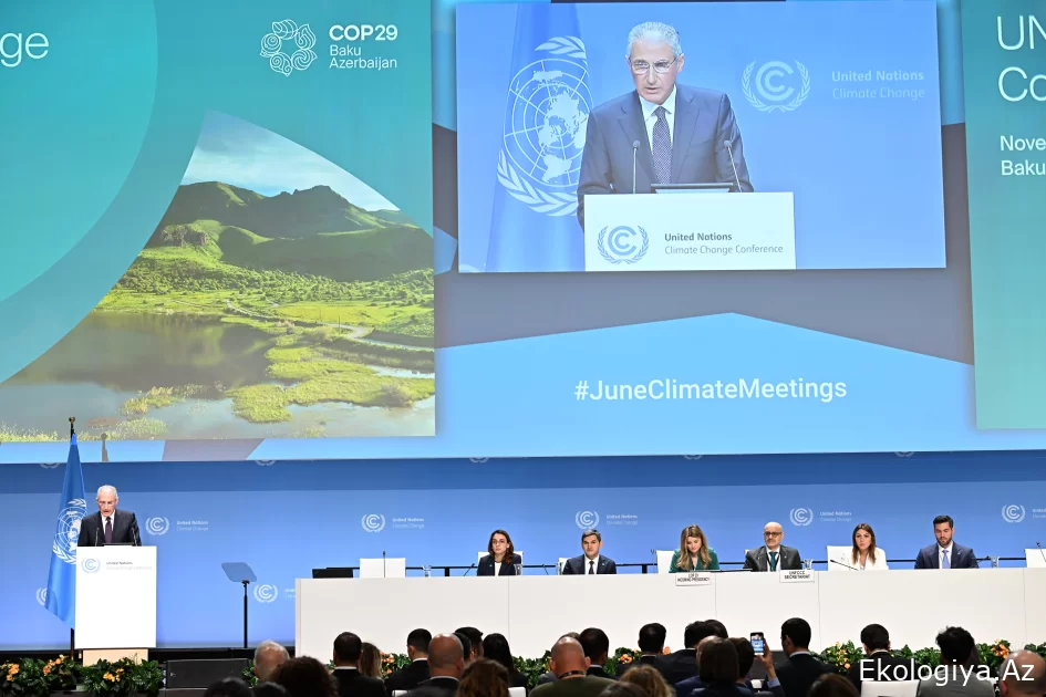 Bonnda COP29-a hazırlıq işləri barədə təqdimat keçirilib (FOTO)