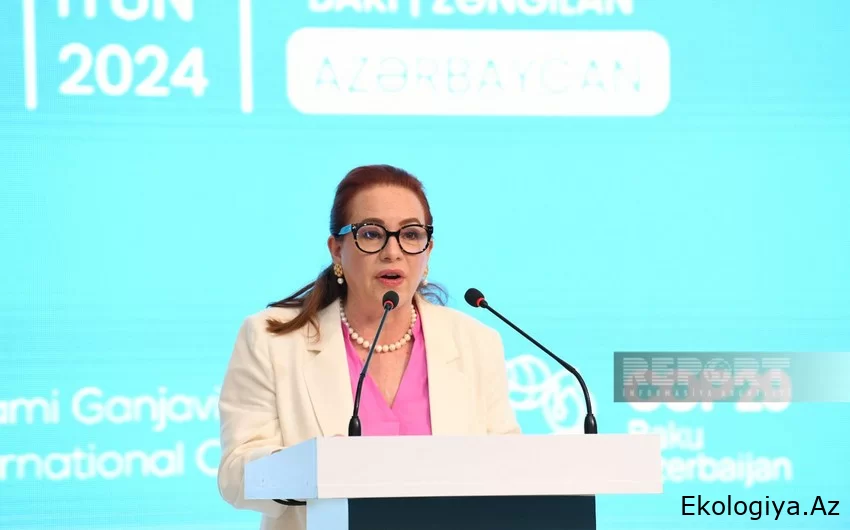 COP29-un uğuru təkcə Azərbaycanın uğuru olmayacaq