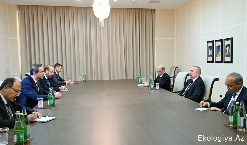 İlham Əliyev Türkiyənin energetika və təbii sərvətlər nazirini qəbul edib