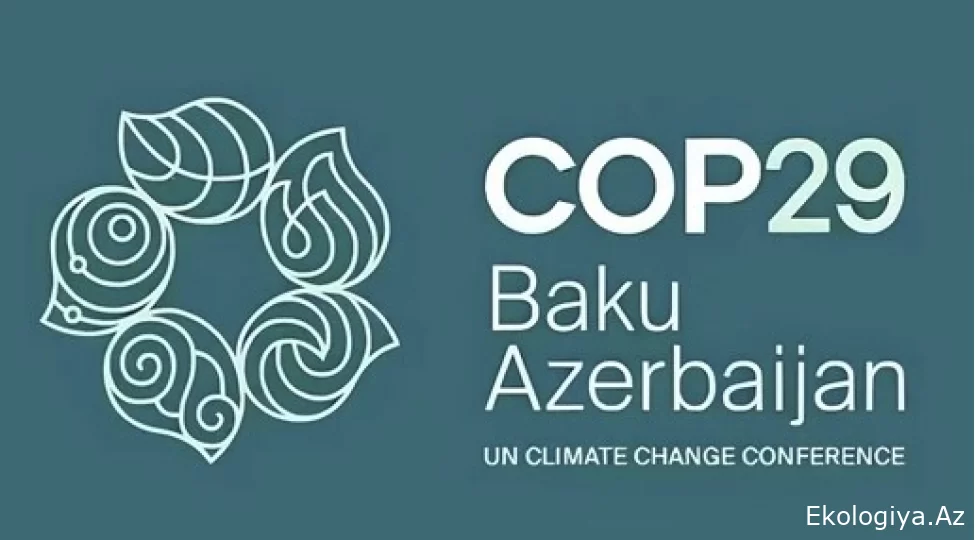 COP29-un ilk həftəsində Bakıda mərkəzləşdirilmiş investisiya forumu keçirəcəyik - IRENA