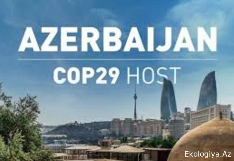 AİİB Azərbaycanda COP29-un uğurla keçirilməsinə kömək göstərməyə hazırdır