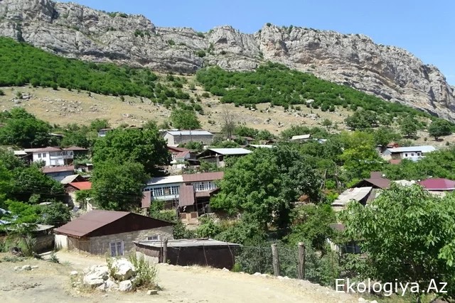 Daşaltı Dövlət Təbiət Yasaqlığının fəaliyyəti bərpa ediləcək - SƏRƏNCAM