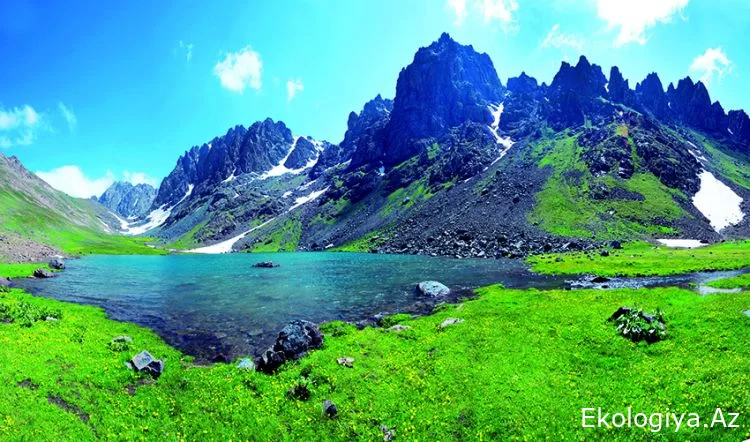 Zəngəzur Milli Parkı ilə bağlı qərar verildi