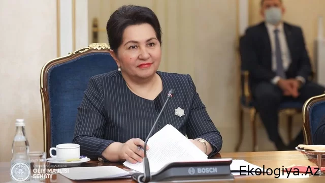 COP29 əməkdaşlığın genişləndirilməsi və "yaşıl" enerjiyə keçidə böyük töhfə verəcək - Tənzilə Narbayeva