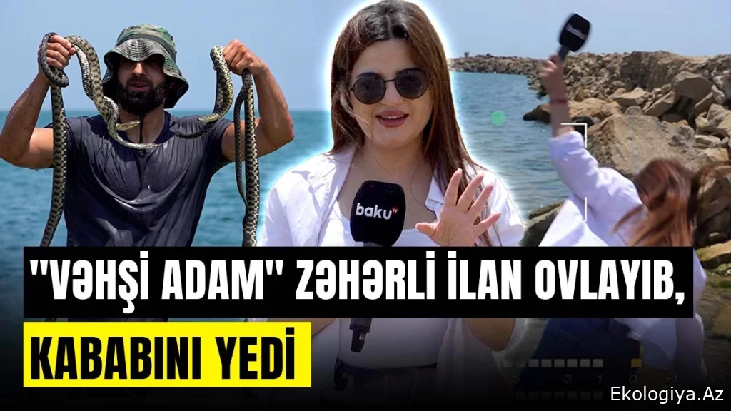 ŞOK HADİSƏ! Arzu Kəlbi ölümdən döndü: İlanyeyən adam çöldə sağ qalmağın sirlərini açdı /VİDEO