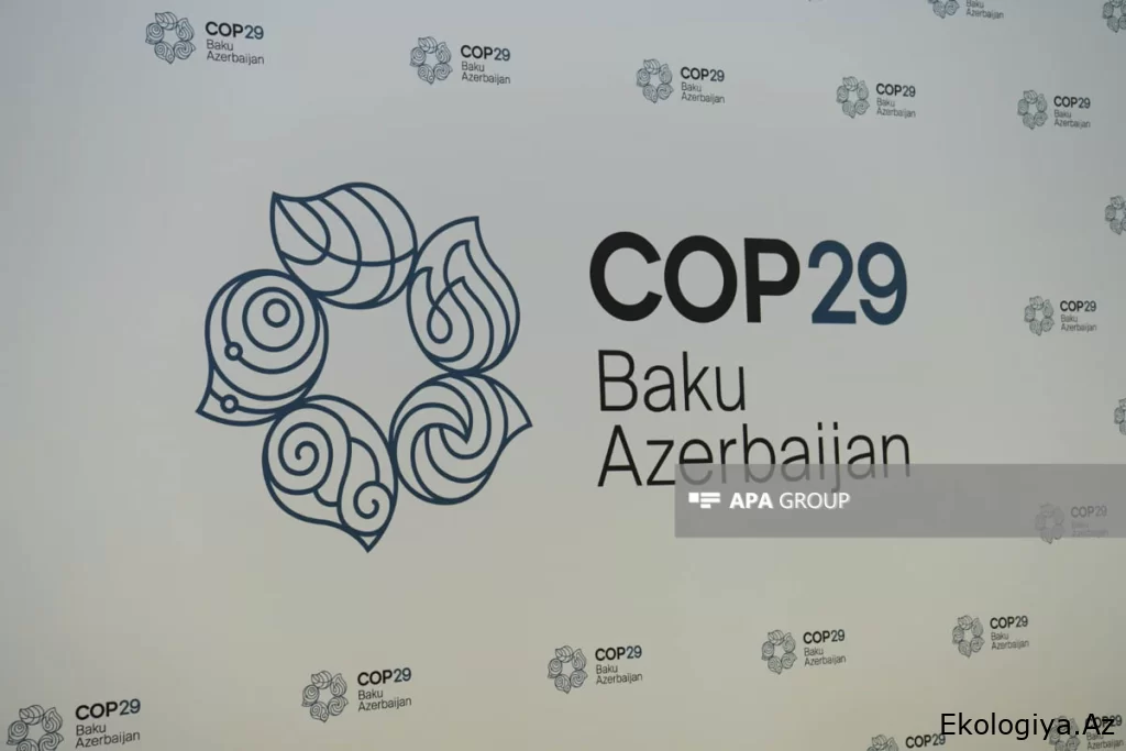 BMT-nin İqlim Dəyişmələri Konfransında bir qrup xarici QHT Azərbaycanla bağlı bəyanat yayıb