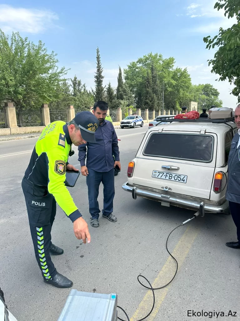 Sabirabadda "Təmiz hava" aylığı çərçivəsində tədbir keçirilib - FOTO
