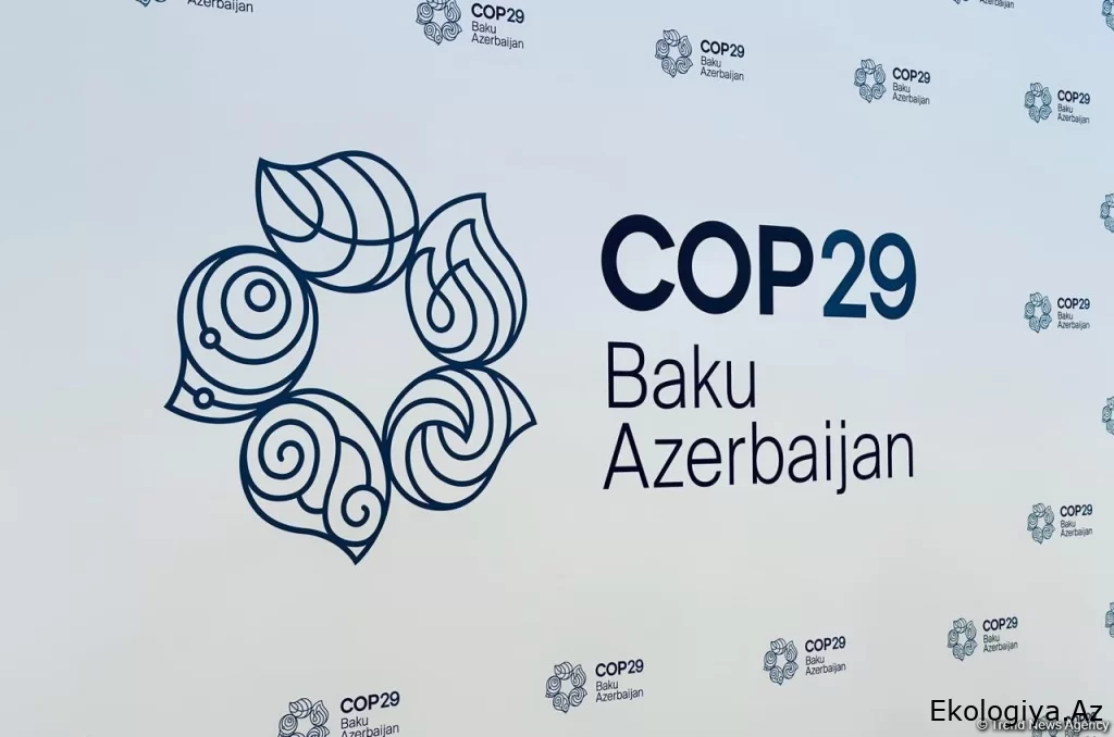 ABŞ Dövlət Departamenti və Beynəlxalq Enerji Agentliyindən COP29-un əhəmiyyətinə dair AÇIQLAMA