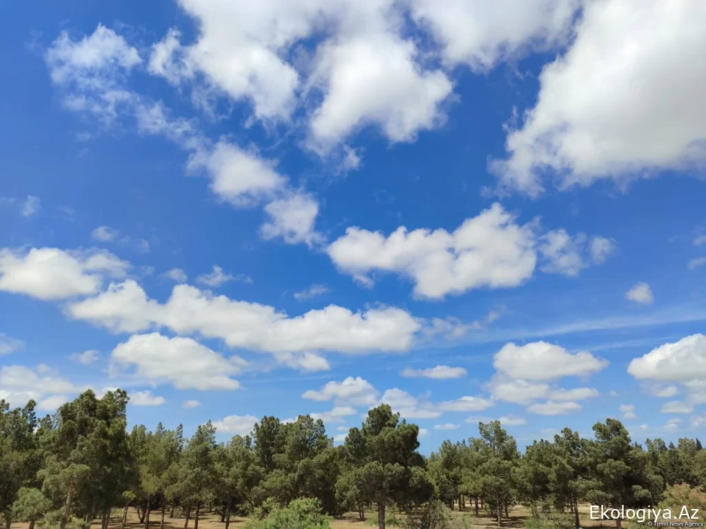 Azərbaycanın bu ərazilərində havanın temperaturu 39 dərəcəyə yüksəlib