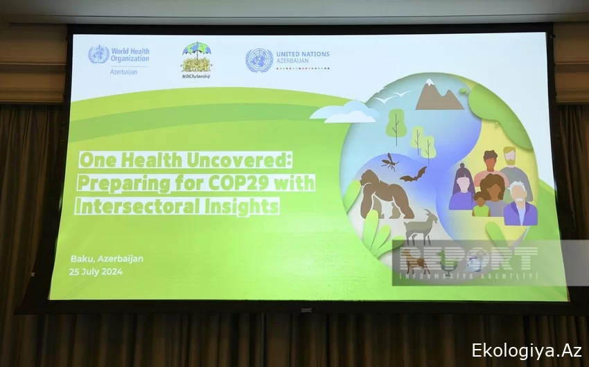 Vladanka Andreyeva: COP29 çərçivəsində insan sağlamlığı sahəsində bir çox mövzular müzakirə olunacaq