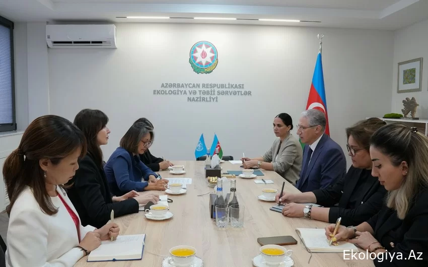Muxtar Babayev BMT rəsmisi ilə COP29-a hazırlığı müzakirə edib