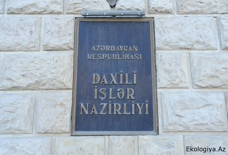 DİN: Altı ay ərzində vətəndaşlar tərəfindən 1029 odlu silah könüllü təhvil verilib