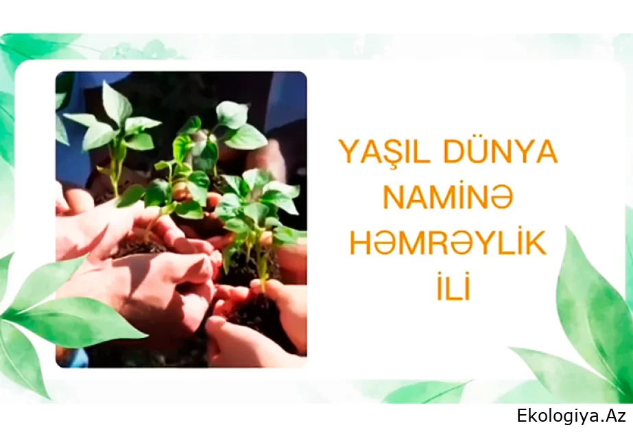 Gənclər Kitabxanasında “Təmiz planet-sağlam həyat” layihəsi davam edir