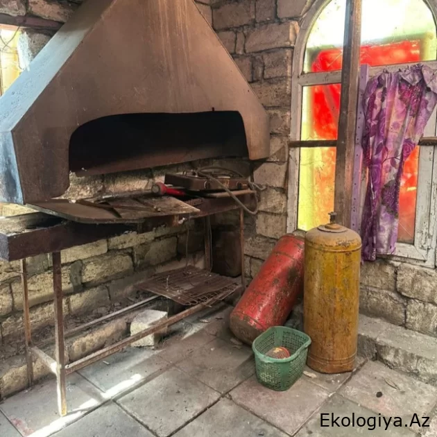 Masallıda fəaliyyət göstərən kafenin fəaliyyəti məhdudlaşdırılıb - FOTO