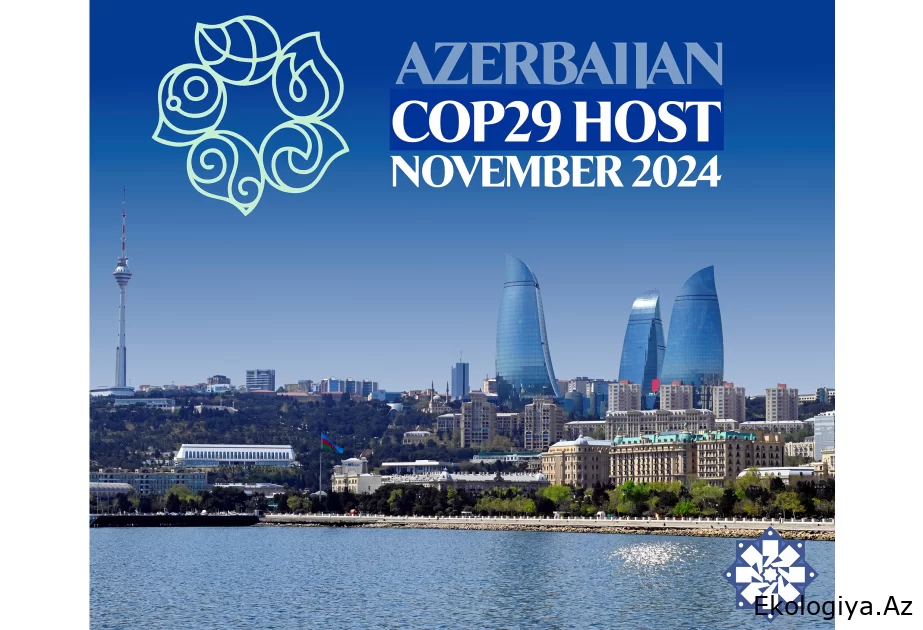 COP29 prezidenti Braziliiya və Avstraliyadan olan nümayəndə heyətləri ilə görüşüb
