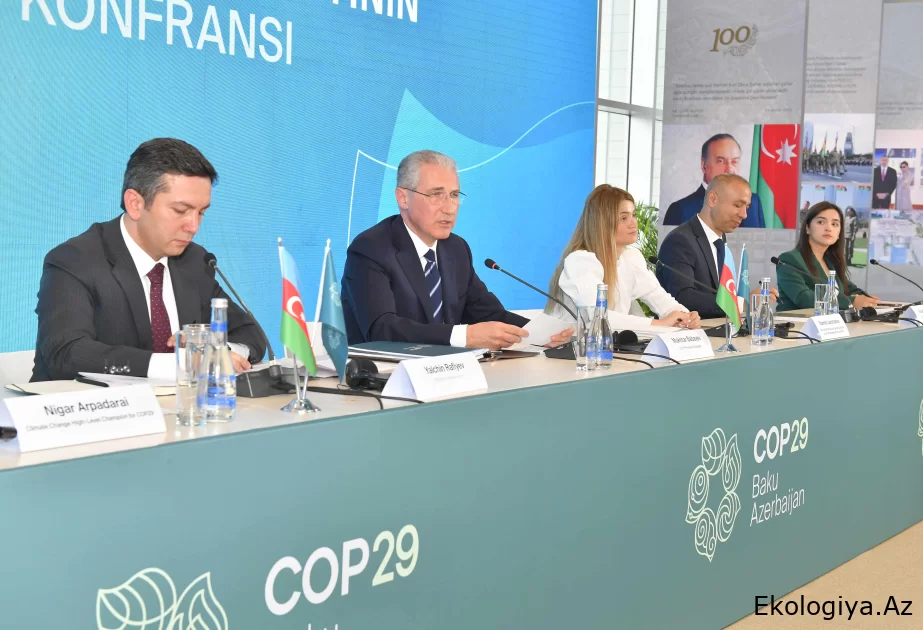 Muxtar Babayev: COP29 sədrliyi olaraq, regional fəaliyyətlərlə bağlı təşəbbüslər irəli sürmüşük