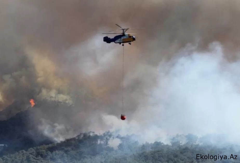 Türkiyədə meşə yanğınları ilə mübarizəyə 105 helikopter, 26 təyyarə və 14 PUA cəlb edilib