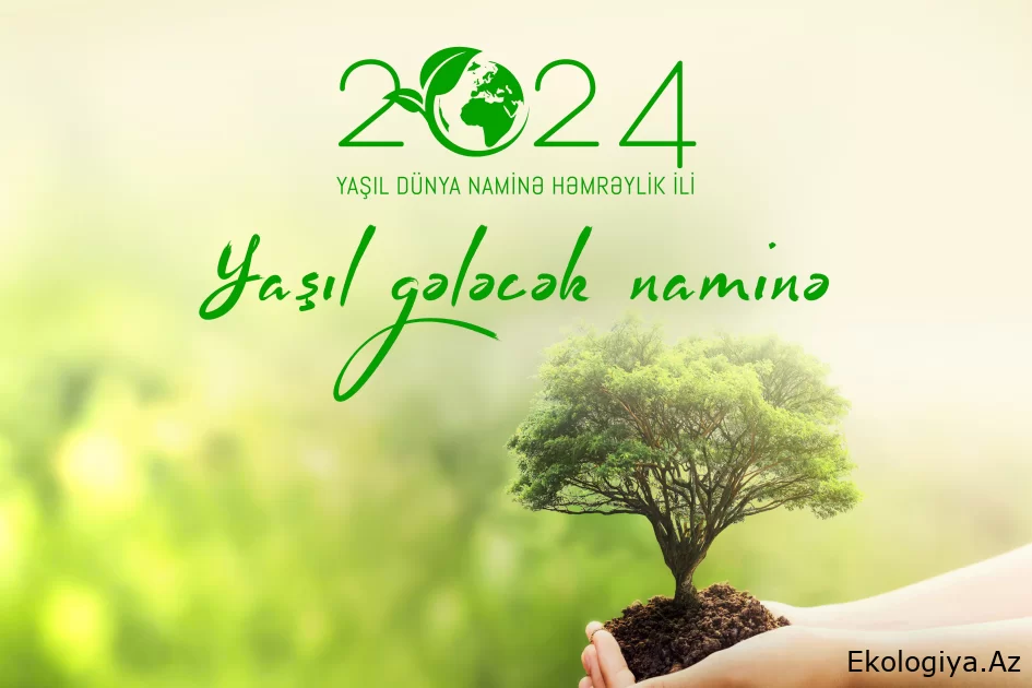 “Yaşıl gələcək naminə” aksiyası davam edir - FOTO