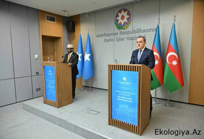 Somali hökuməti COP29-un məqsədlərinə nail olmaq üçün Azərbaycanla işləməyə hazırdır - XİN rəhbəri