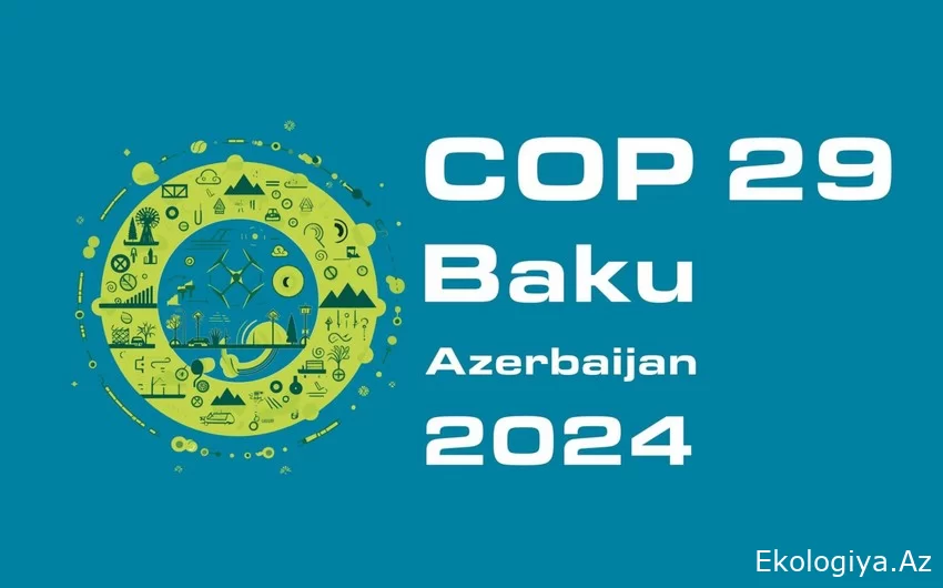 Ekspert: COP29-la iqlim böhranını həll etmək üçün siyasi iradə nümayiş etdiriləcək