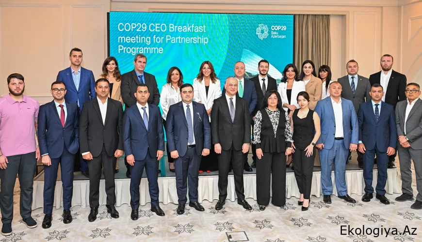 COP29-un “Milli Öhdəlik Proqramı” çərçivəsində növbəti görüş keçirilib