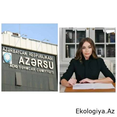 TƏCİLİ: "Azərsu" Mehriban Əliyevanın məktubunu heçə sayır: 165 ailə PA önündə aksiya ANONSU verdi - FOTO