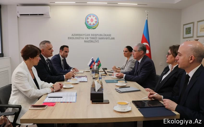Sloveniyanın ətraf mühit, iqlim və energetika naziri ilə COP29-a hazırlıq müzakirə olunub