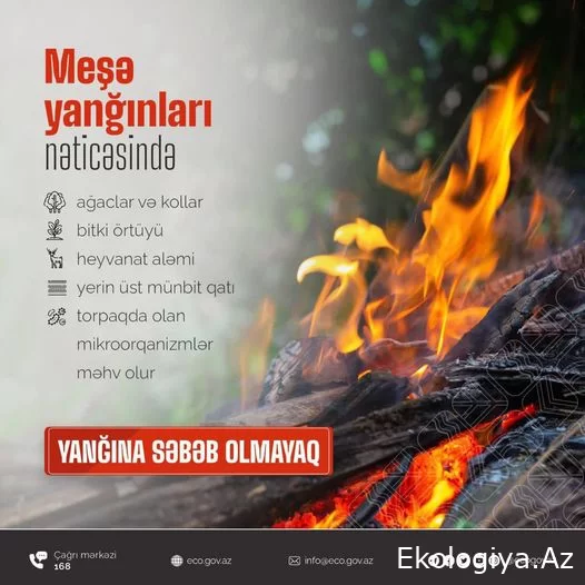 Xidmət rəisi: meşə yanğınlarının çox təhlükəli olması və əksər hallarda ağır fəsadlarla nəticələnməsi hər bir vətəndaşın daim diqqətində olmalıdır