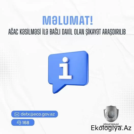 Dövlət Ekoloji Təhlükəsizlik Xidmətinə ağac kəsimi ilə bağlı şikayət yerində araşdırılıb