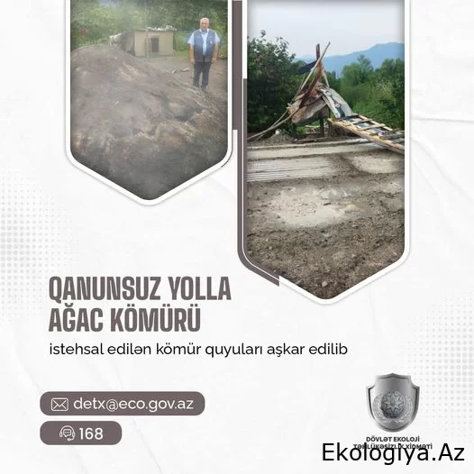 Qanunsuz yolla ağac kömürü istehsal edilən kömür quyular ləğv edildi - Quba və Qax kənd sakinlərinə akt və protokol tərtib olundu