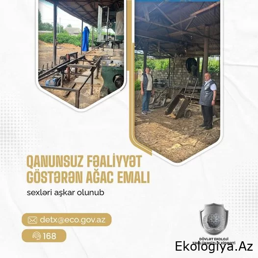 Zaqatala rayonu ərazisində ağac emalı sexləri aşkarlanıb - RƏSMİ