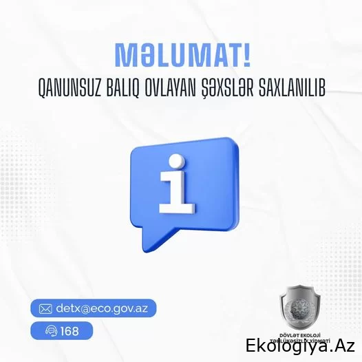 Kür çayının Neftçala, Baş Mil-Muğan Kollektoru hissəsində qanunsuz balıq ovlayan şəxslər saxlanılıb - RƏSMİ
