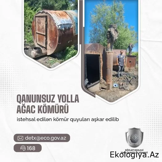 Qanunsuz yolla ağac kömürü istehsal edilən kömür quyuları aşkar olunub - RƏSMİ
