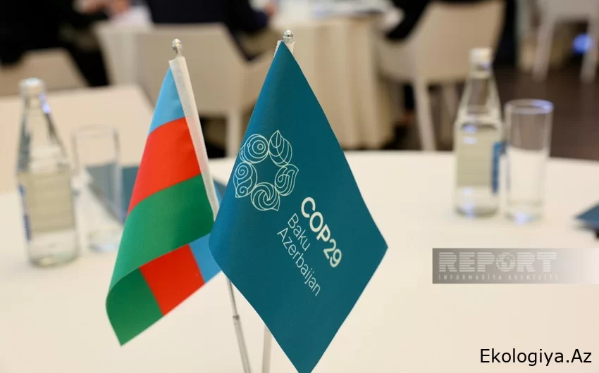 KİV: Bakıda keçiriləcək COP29 qlobal fəaliyyət üçün lakmus kağızıdır