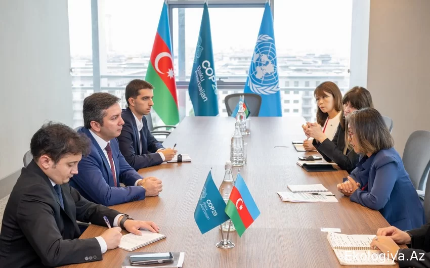 Yalçın Rəfiyev BMT rəsmisi ilə iqlim fəaliyyəti üzrə tərəfdaşlığı müzakirə edib