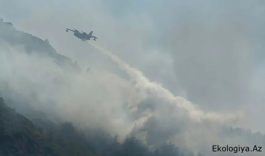 Dəhşətli meşə yanğını  - 10 helikopter, 8 təyyarə, 16 su tankeri, 271 şəxsi heyət yanğının söndürülməsinə cəlb edildi