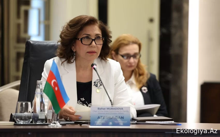 Bahar Muradova: Qarabağın ekologiyasına vurulan yaralar sağalmağa başlayır