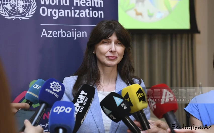 BMT Azərbaycanda vahid sağlamlığın tətbiqi üçün işçi qrupunun yaradılmasını təklif edib