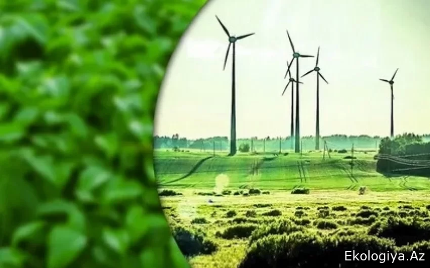 Azərbaycan sürətlə “yaşıl” enerjiyə keçidə doğru irəliləyir