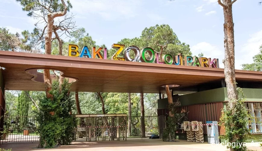 Zooparkda qiymət DƏYİŞDİ - FOTO
