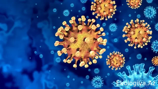 Yeni virus qapıda -  sümük ağrıları, yüksək temperatur  və...