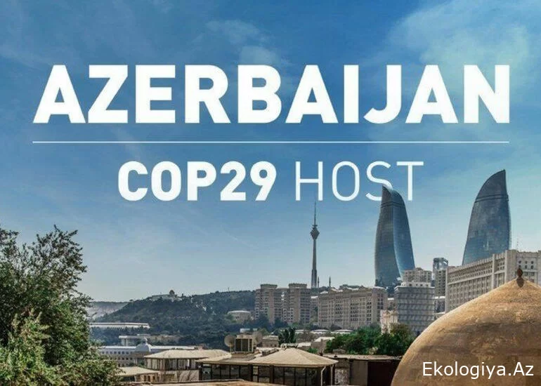 Biz çalışırıq ki, COP ilə bağlı maliyyə dayanıqlı olsun - Baş icraçı direktor