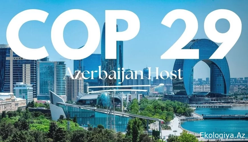 COP29 könüllüləri İçərişəhərdə ekoloji aksiya təşkil edib