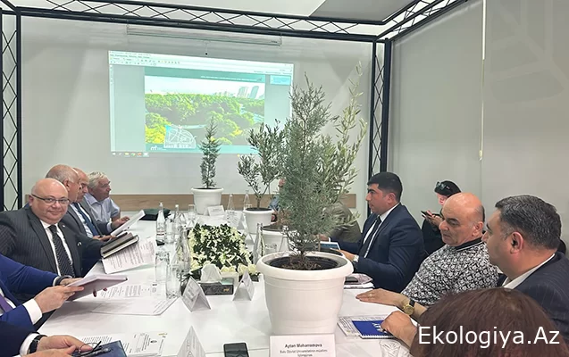 Nazirlik tikinti şirkətlərinə rəmzi ağac hədiyyə etdi - Fotolar