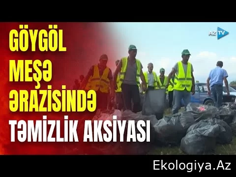Hacıkənd meşə massivində ətraf zibillikdən təmizlənir: aksiyanın ilk günündə 720 kiloqram tullantı yığıldı