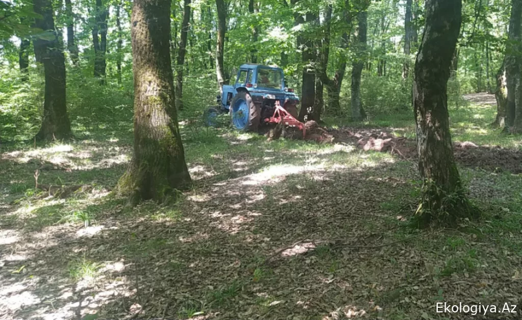 Hirkan Milli Parkında yanğın təhlükəsizliyi məsələləri müzakirə olunub