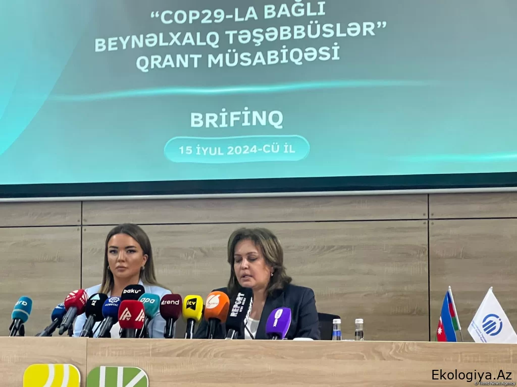 COP29-la bağlı işlər intensiv aparılır - Nazir müavini